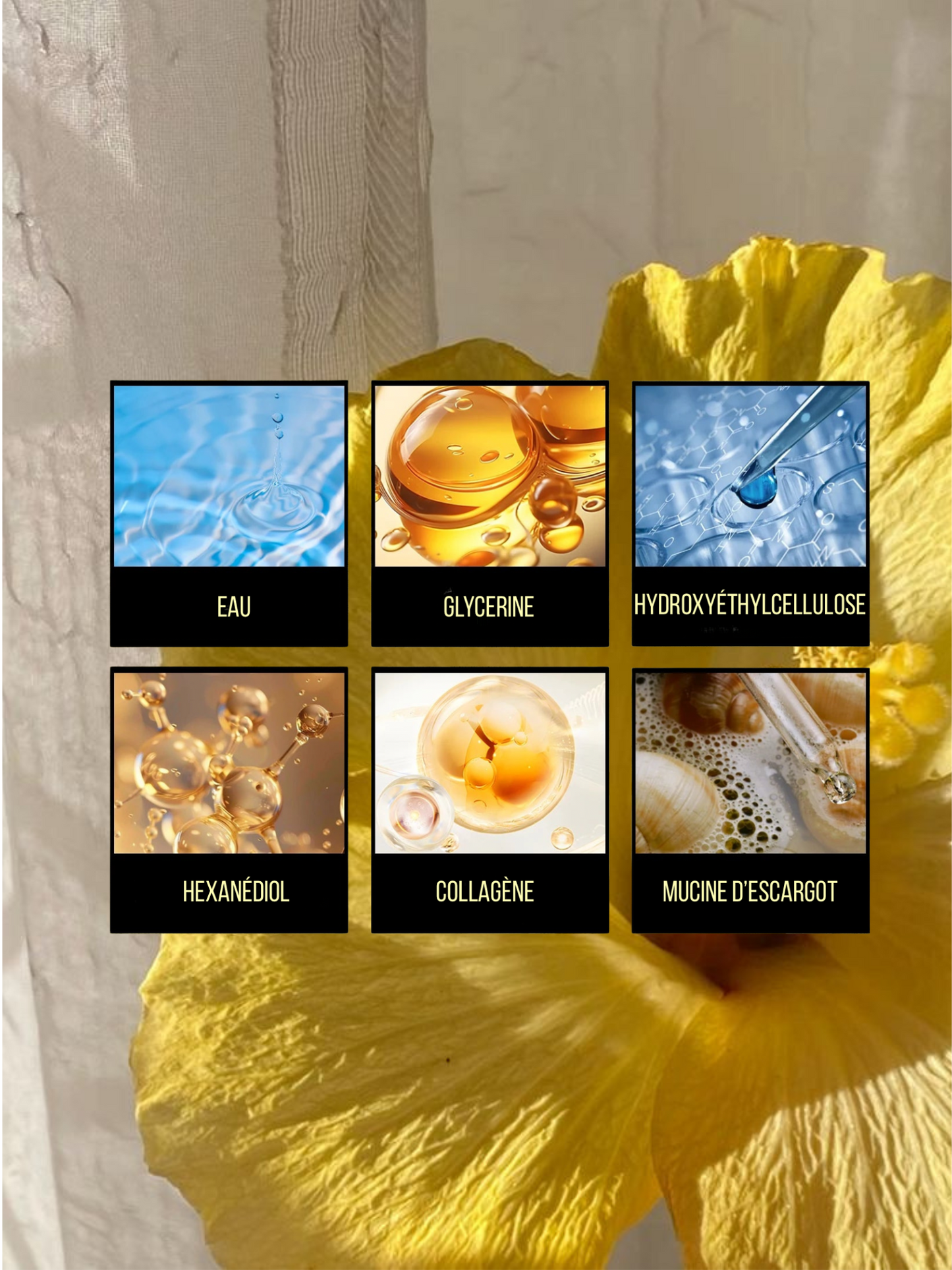 Set régénérant à la mucine d'escargot